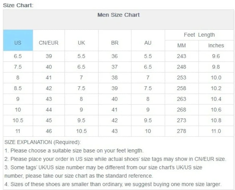 Mens Summer Canvas Sneakers